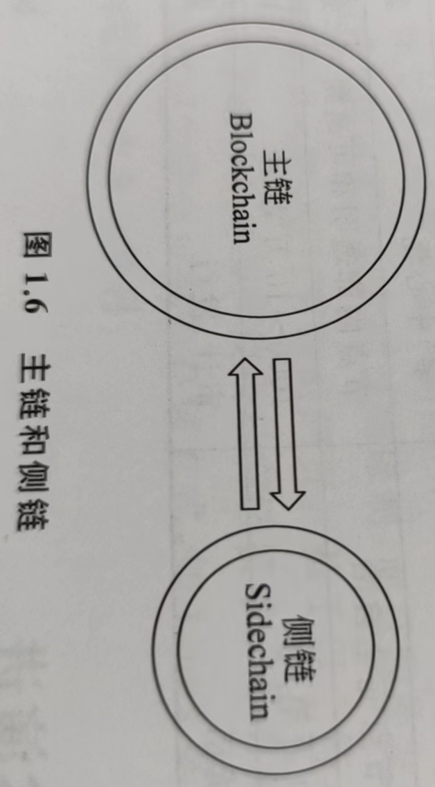 主链和侧链