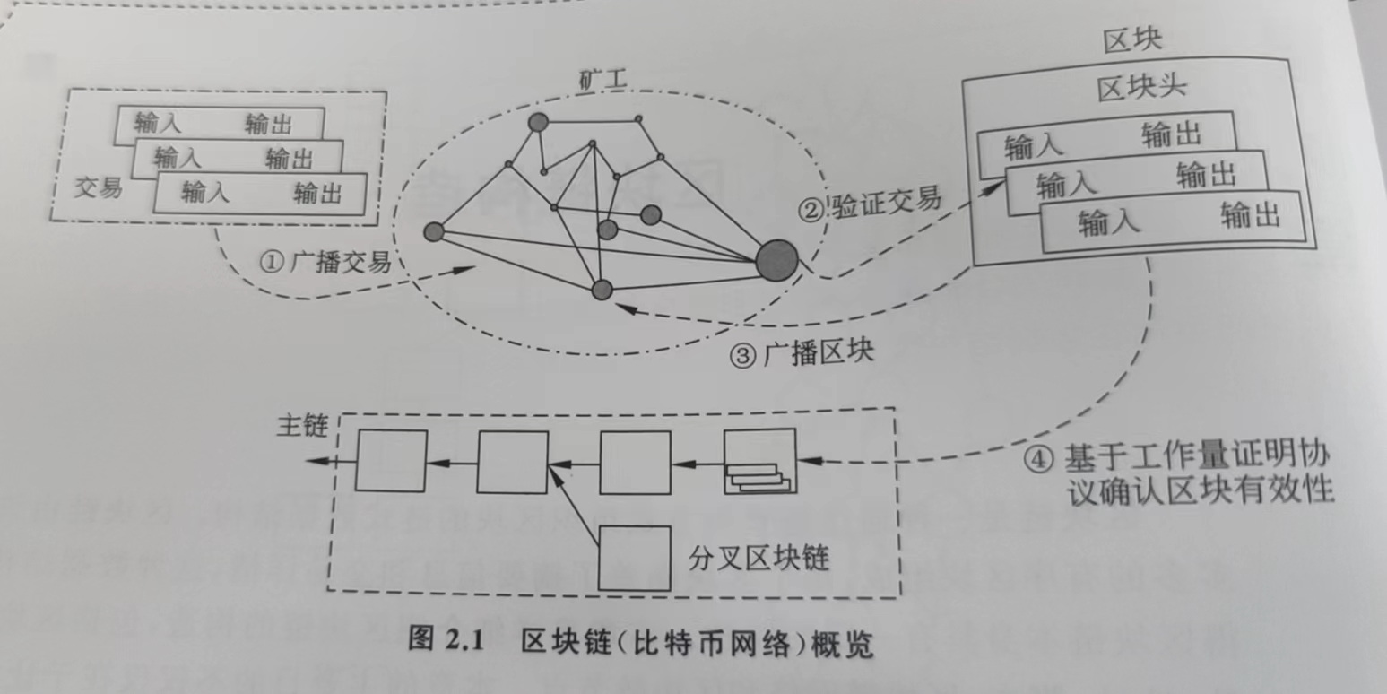 比特币网络概览